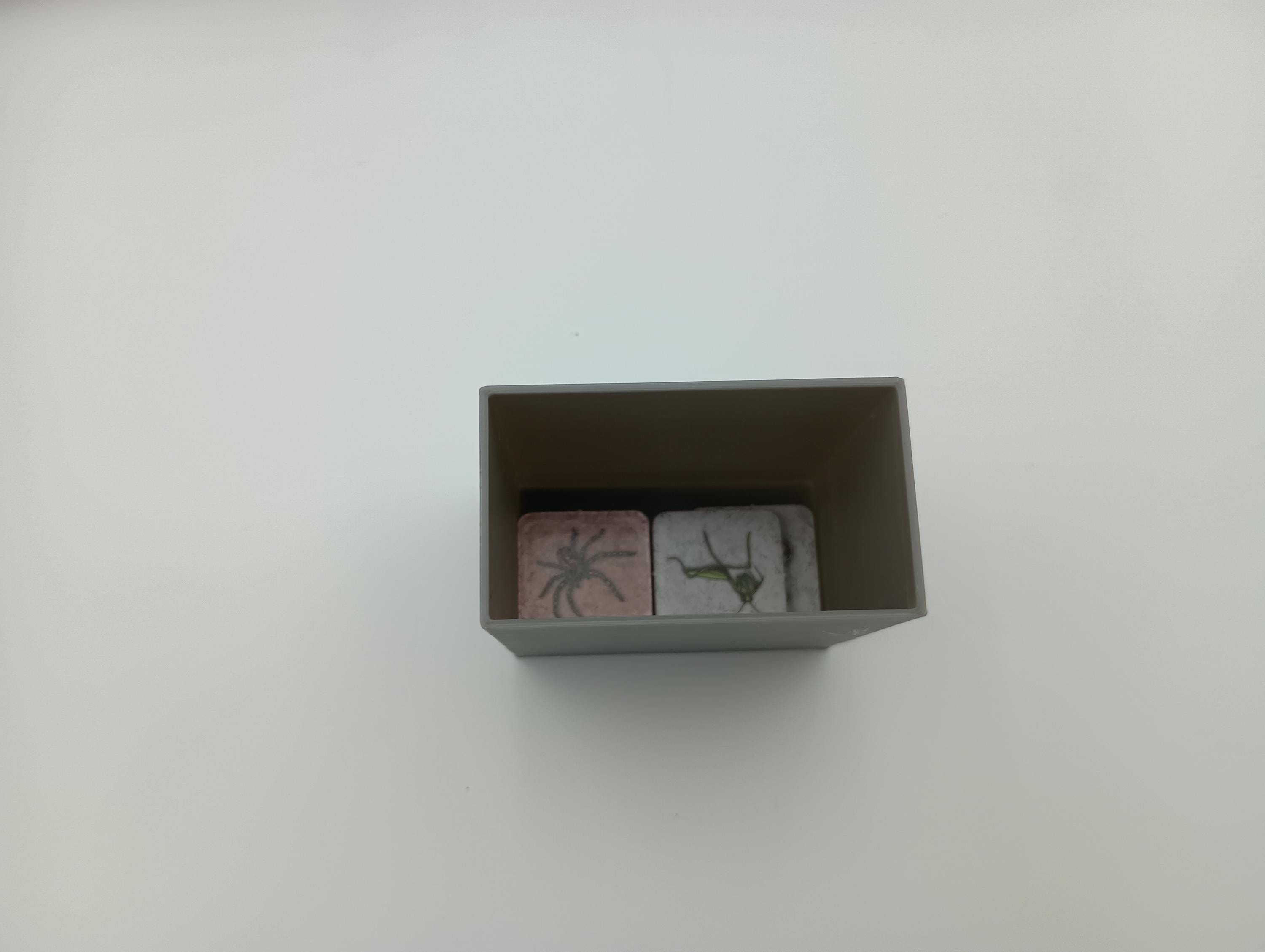 Dominant Species Board Game Insert/Storage Organizer